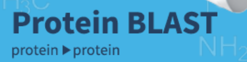 blastp