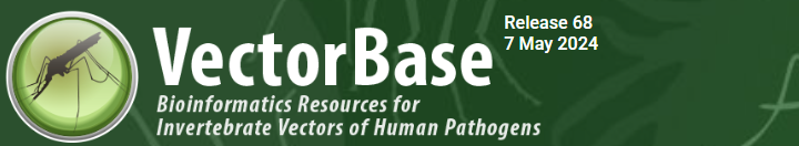 vectorbase